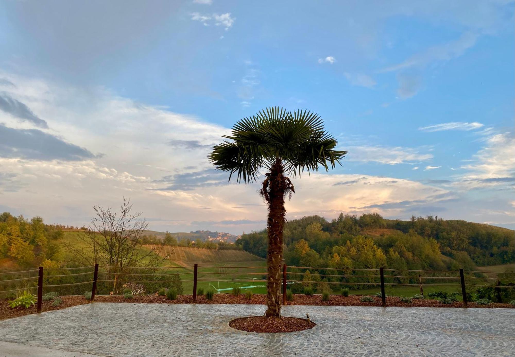 Tenuta Agricola La Cava- Cantina E Agriturismo San Damiano dʼAsti Exterior foto